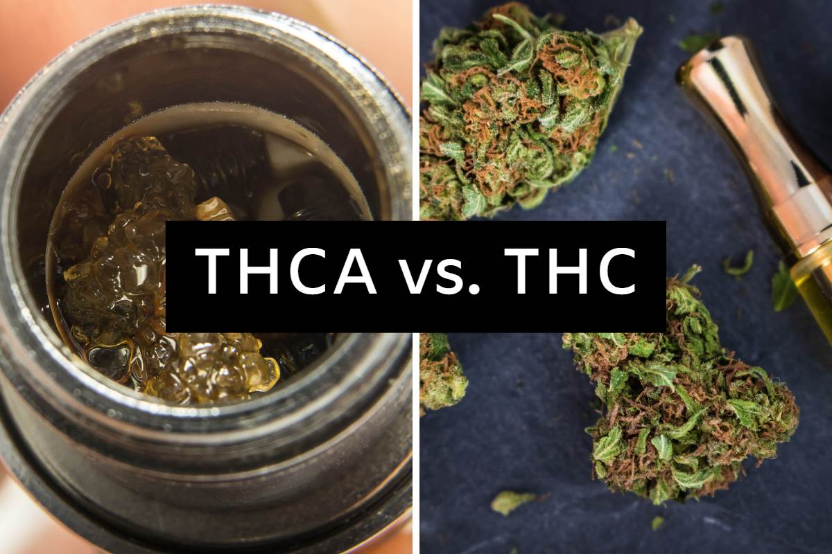 THCA Vs. THC: Unraveling The Distinction - Free The Weed